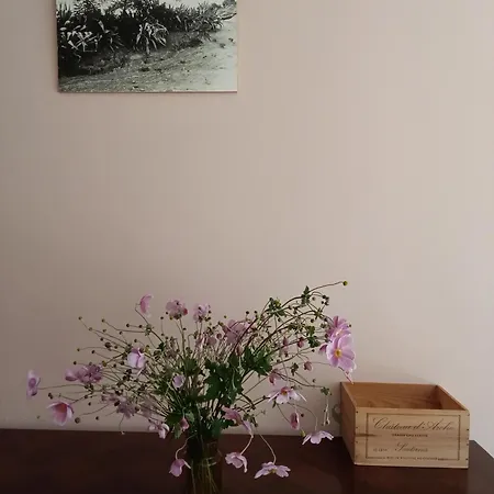 Au Coeur De La Petite Cite De Caractere 아파트 *