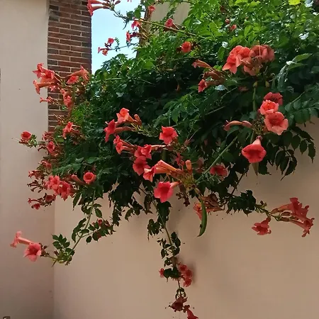 Au Coeur De La Petite Cite De Caractere Διαμέρισμα *
