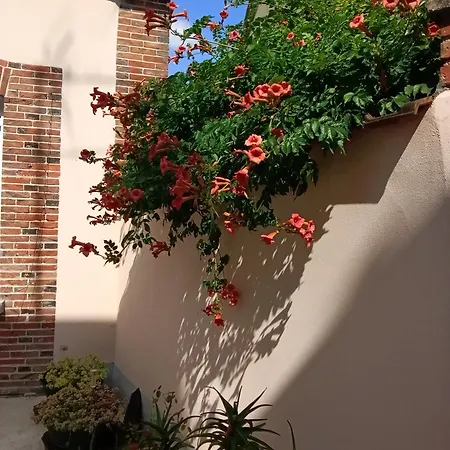 Au Coeur De La Petite Cite De Caractere Διαμέρισμα *