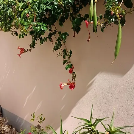 Au Coeur De La Petite Cite De Caractere Διαμέρισμα Sézanne